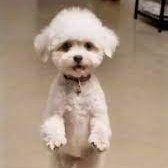 pautaitoz's profile picture. 