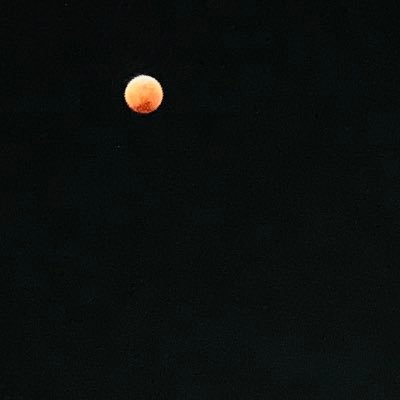 Wskr235's profile picture. 新参Buddies/大学生/野球/競馬/サッカー/などなど