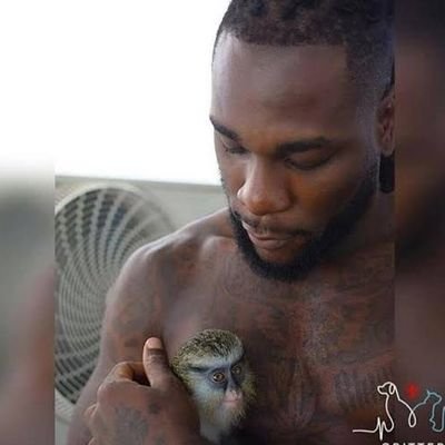 HoodBross's profile picture. I will surely unfollow if you don't follow back 🤝