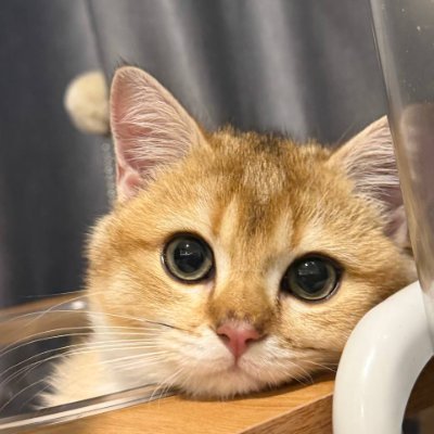 Katherinee3329's profile picture. Be the reason someone smile today. 😊