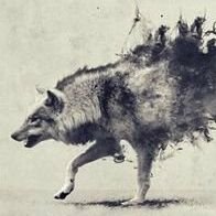 wolftwis's profile picture. 