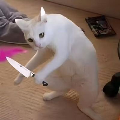 boo678v's profile picture. Ohayo🥺