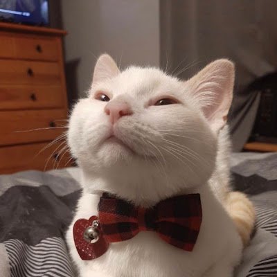 SmallbusBC's profile picture. 