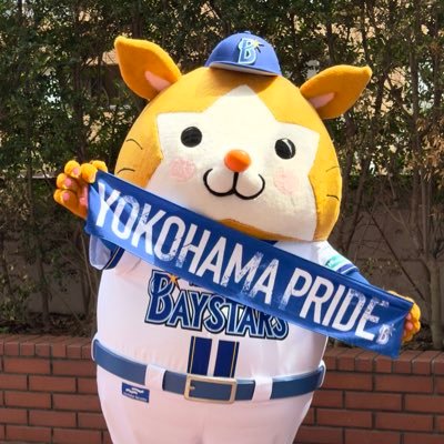 Asayuto63's profile picture. 異文化交流推進会 ハマっこなれないベイスターズファン⭐️