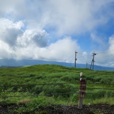 YoYosasa2525's profile picture. 