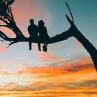 𝓗𝓪𝓴𝓪𝓷 (@krklm_) 's Twitter Profile Photo 𝓗𝓪𝓴𝓪𝓷 (@krklm_) 's Twitter Profile Photo