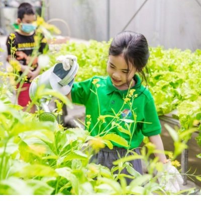 ThienVu515399's profile picture. 