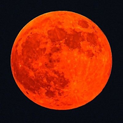 Sheikhkharkhaki's profile picture. #تابع_قوانین_شاهنشاهی
قانون اساسی، شاه، میهن