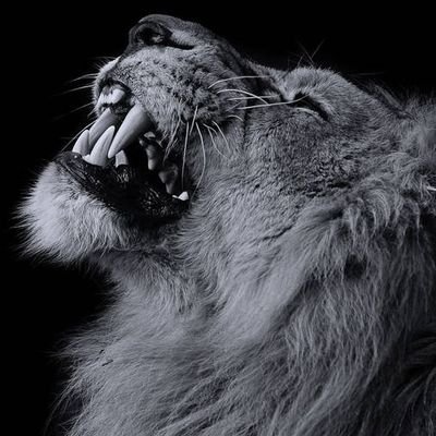 iamjones94's profile picture. 