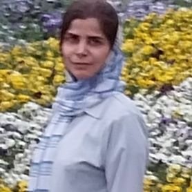 shohreh_bs's profile picture. 