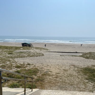 tctctbt's profile picture. 