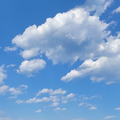 sea_seolgyeong's profile picture. Boss Noeul  좋아해