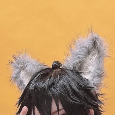 オタクです 時々コスプレします μ's.tnpr.hpmi.enst.prsk.MHA.knpr.mhykなどいろいろ