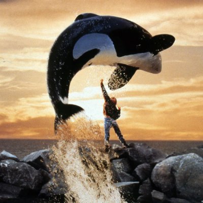 freewilly032005's profile picture. 