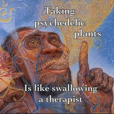 One psychedelic trip can make you understand more about the nature of reality than 1000s of hours of doing science