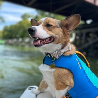 SPlantanESQ's profile picture. 