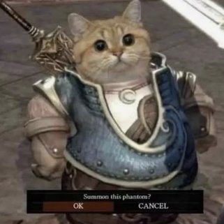 TashaS64312's profile picture. Driven writer | believer in travel.