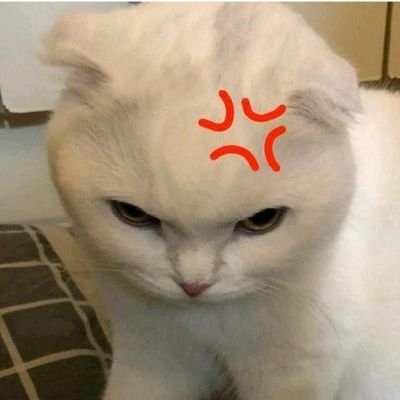 flouwercity's profile picture. 𝓐  beautiful mess in progress.
sOo in ♡ ᪲᪲᪲ with #HAECHAN & #JAEHYUN 🌟