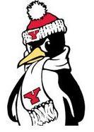 The official Twitter for YSU Intramural Sports. Follow us for registration deadlines, sports results and any IM updates!