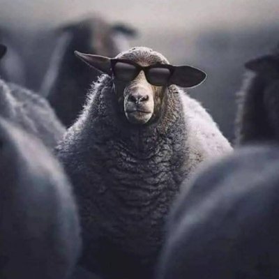 NotahStonatah's profile picture. Preferisco ascoltare più musica e meno persone.
Distributore automatico di caffè.