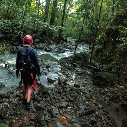 DavisArosemena's profile picture. Comentarista | Tech Lead | Dev con o sin IA