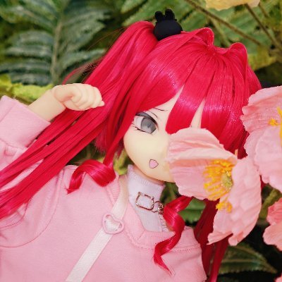 @Mona_momoko0111