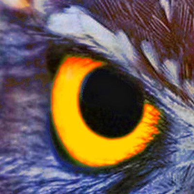 OFFICIAL #FAU Fancast BTYB @FAU_Owls_Nest & The @BleacherBrother Network | 🎙️ @TheKevinFielder @Burdman138 @RLastellaReport Producer @Florida_Owl #GoOwls 🦉