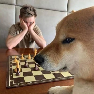 BorisPovod's profile picture. Co-founder and CTO at @PontemNetwork and @lumioFDN. Making memes for fun - $doodoo