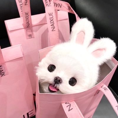 pomekill_'s profile picture. 