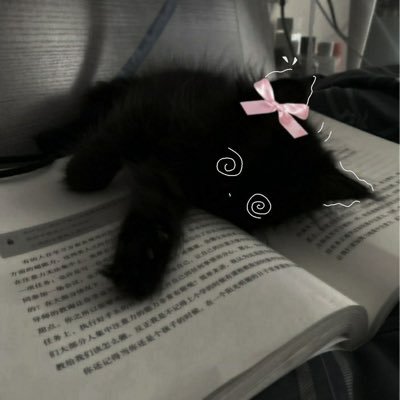 i bake things and wrap cars | yuri enthusiast | 🐈⬛🏳️⚧️