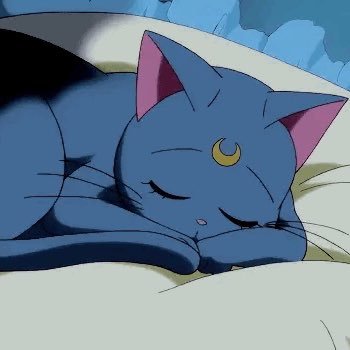 Ryan1423654611's profile picture. true love will always exist 🌙🐾✨