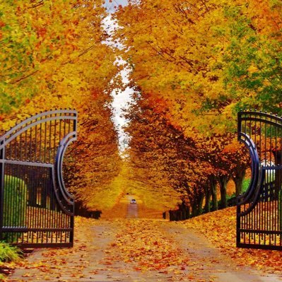 petergreene95's profile picture. Anti-duopoly. Anti-theist. Despise conservative/liberal “ideologies”. Independent egalitarian. #DemExit2016