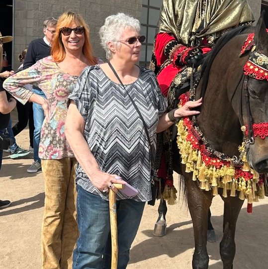 74, retired, recluse, trying to learn to love and forgive myself. I love horses, cats, dogs, birds of prey and all sorts of o,