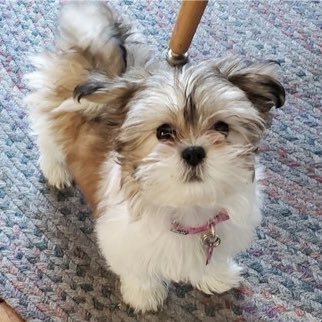 kate_lisa890's profile picture. 