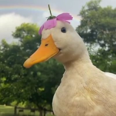 Heisrickky's profile picture. 