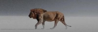 cdd15153062's profile picture. Fé em deus. solteiro 🙏