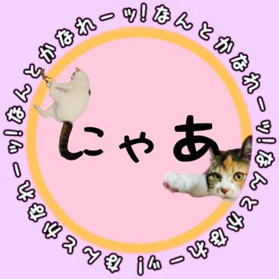 cocoanyaa's profile picture. FreeiDを推しています「株価は人の心がつくる」🐈