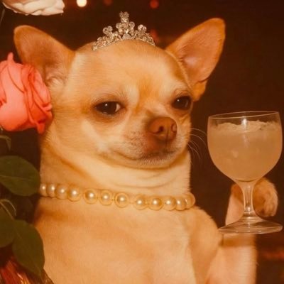 El jefe de la tribu | Elegante, seductor, guapo, exitoso, así es Brad Pitt, yo soy Eddie. Midwestero | O||||||O | 🇺🇦