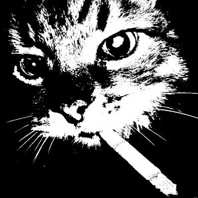 vmpirecals's profile picture. 18 ⋆ he/him ⋆ 5ft ⋆ sw : 78.5kg ⋆ cw : 60.7kg ⋆ gw : 37.5kg