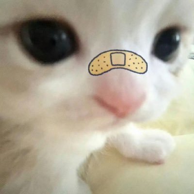 jenitozip's profile picture. 