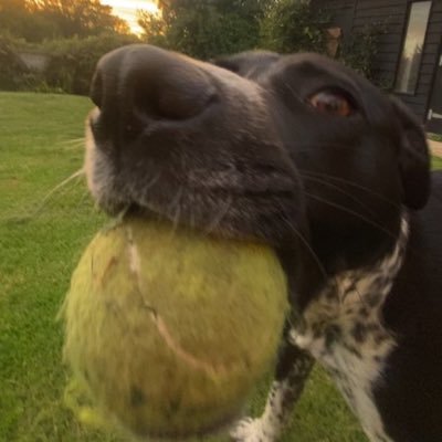 JackCl75's profile picture. 