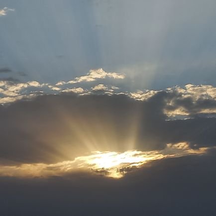 SosanoAns828334's profile picture. 