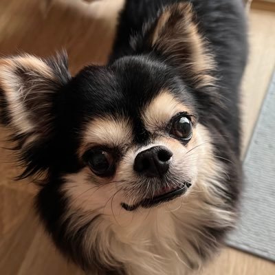 sw3ie's profile picture. 🇹🇭👽🐺