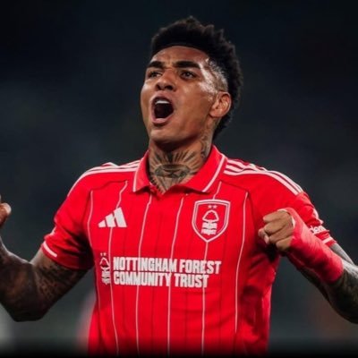 All things Nottingham Forest , Family, Bassett hounds & Retrievers, No DMs , “I’ll be in my shed “