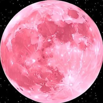 SaptojitN's profile picture. 