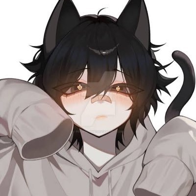 Heya I'm Shadow I'm a NSFW 18+ RP and I'm pretty shy don't be afraid to DM I don't Bite Hard