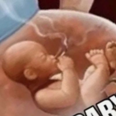 DaRoost3r's profile picture. Caedite eos. Novit enim                        Dominus qui sunt eius