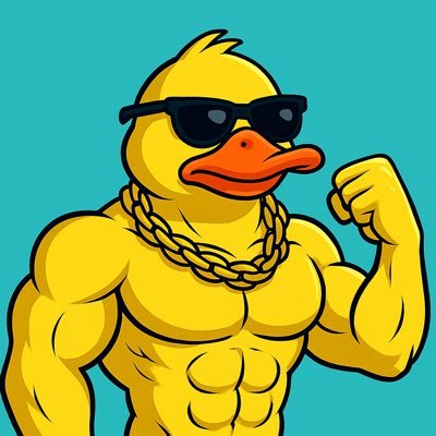 🐥 $DCKY doesn’t dip… it waddles UP 📈 | Community-Powered | Built Different | #Solana
