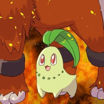 ちこりーた ちこりーた🍃 (@PokeChiko) / X