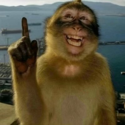 CauaMuitoLegal's profile picture. 